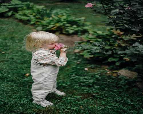 <b>南京试管助孕生宝宝费用明细来了,附试管成功率</b>